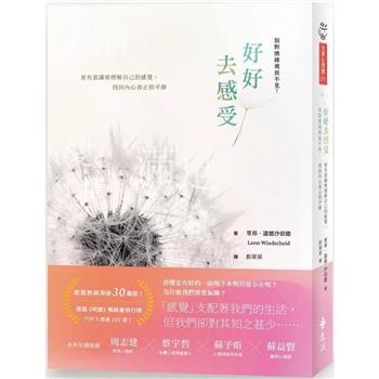 好好去感受：別對情緒視而不見！更有意識地理解自己的感覺，找回內心真正的平靜