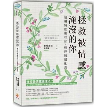 拯救被情感淹沒的你：運用情感處理法，梳理情緒亂流