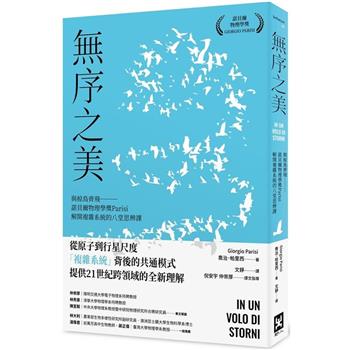 無序之美：與椋鳥齊飛【諾貝爾物理學獎Parisi解開複雜系統的八堂思辨課】