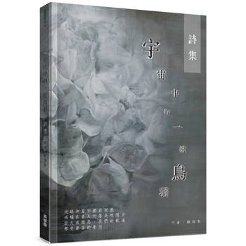 宇宙中的一根鳥羽-詩集