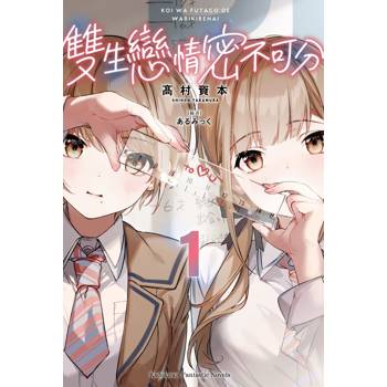 雙生戀情密不可分(１)小說