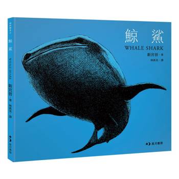 鯨鯊 Whale Shark