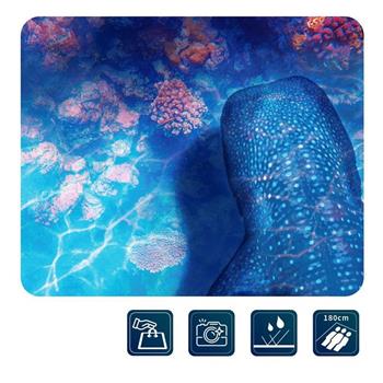 【雙龍牌】3D鯨魚手提設計超輕防水文青野餐墊/加大防水海灘墊（露營烤肉網美必備防水地墊/大型摺疊野餐墊）