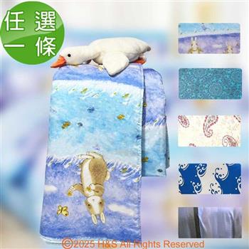 【SOFBED】台灣製造天絲涼被五款任選5x6尺(150x180公分)1條