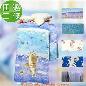 【SOFBED】台灣製造天絲涼被五款任選5x6尺(150x180公分)2條