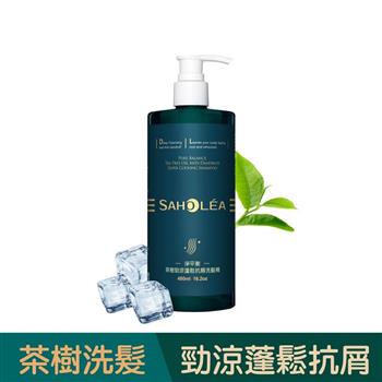 【森歐黎漾】淨平衡茶樹勁涼蓬鬆抗屑洗髮精480ml/瓶 （SAHOLEA/小明星大跟班/醫師好辣/一袋女王/節目推薦）