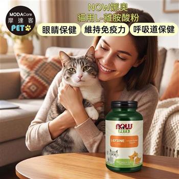 摩達客 美國進口 NOW娜奧貓用L-離胺酸粉 226.8g/瓶｜貓咪營養保健