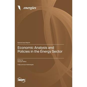 Economic Analysis and Policies in the Energy Sector