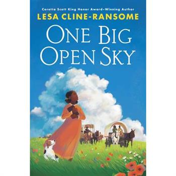 One Big Open Sky