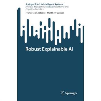 Robust Explainable AI