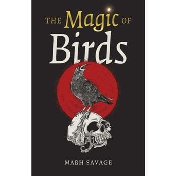 The Magic of Birds