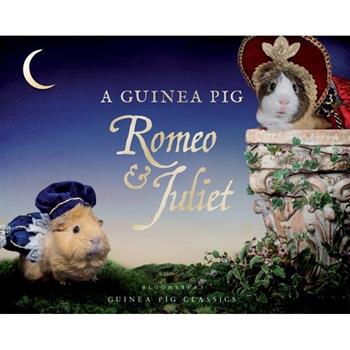 A Guinea Pig Romeo & Juliet
