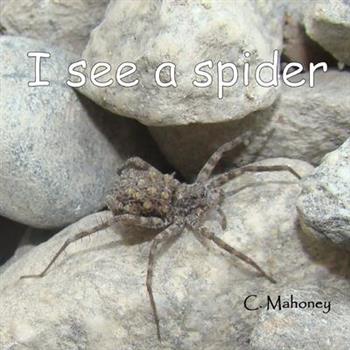 I see a spider