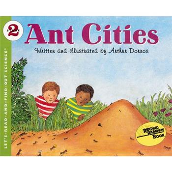 Ant Cities