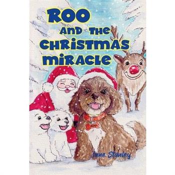 Roo and the Christmas Miracle