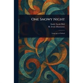 One Snowy Night