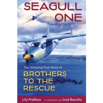 Seagull One