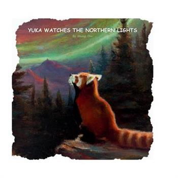 Yuka watches the Northern Lights