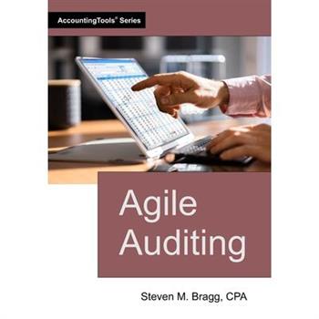 Agile Auditing