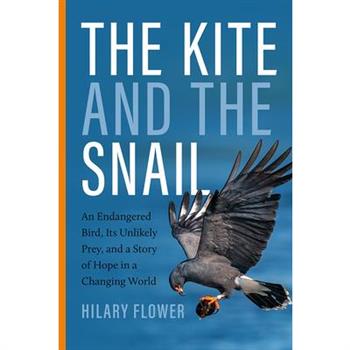 The Kite and the Snail
