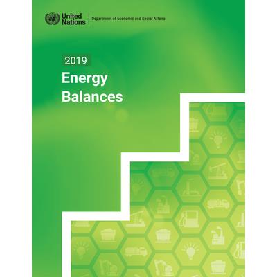 2019 Energy Balances