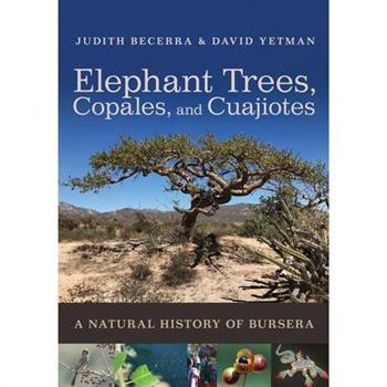 Elephant Trees, Copales, and Cuajiotes