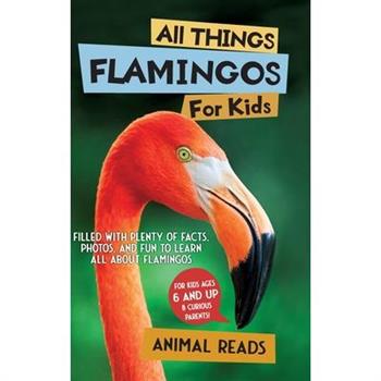 All Things Flamingos For Kids