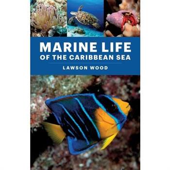 Marine Life of the Caribbean Sea