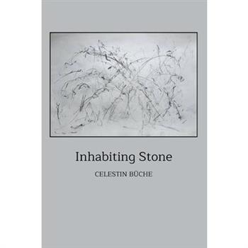 Inhabiting Stone