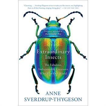Extraordinary Insects