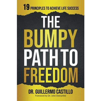 Bumpy Path to Freedom, 19 Principles to Achieve Life Success