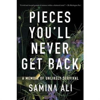 Pieces You'll Never Get Back
