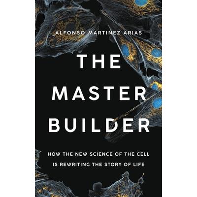 The Master Builder