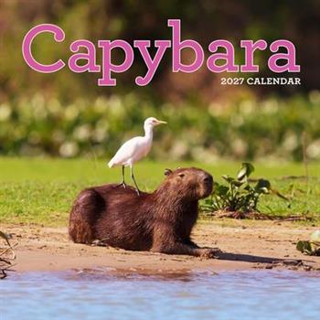 Capybara Wall Calendar 2027
