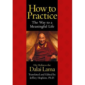 How to Practice: The Way to a Meaningful Life