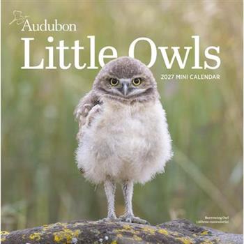 Audubon Little Owls Mini Wall Calendar 2027