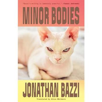 Minor Bodies