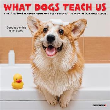What Dogs Teach Us 2026 7 X 7 Mini Wall Calendar