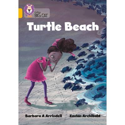 Turtle Beach