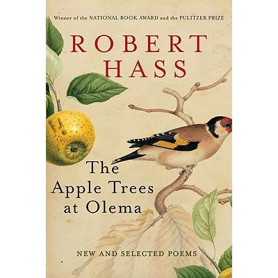 The Apple Trees at Olema