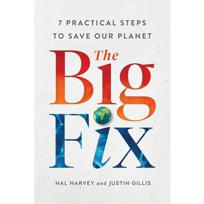 The Big Fix