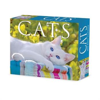 Cats 2026 5.4 X 6.2 Box Calendar