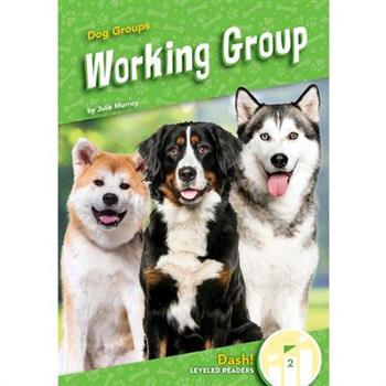Working Group