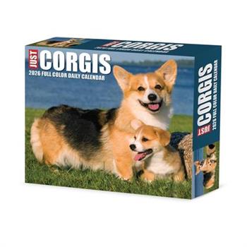 Corgis 2026 5.4 X 6.2 Box Calendar