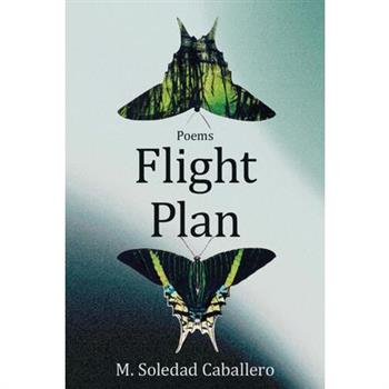 Flight Plan