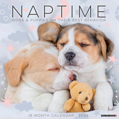 Naptime (Dogs & Puppies) 2024 12 X 12 Wall Calendar