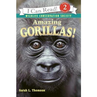 Amazing Gorillas!