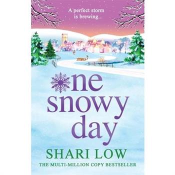 One Snowy Day