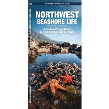 Northwest Seashore Life