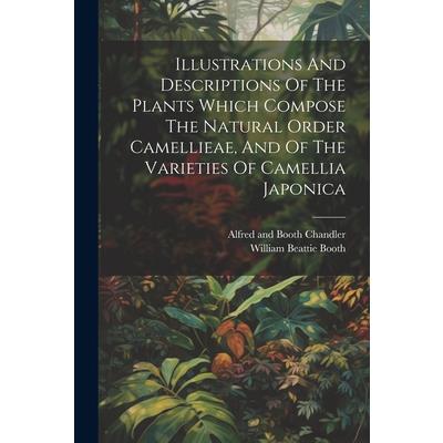 Illustrations And Descriptions Of The Plants Which Compose The Natural Order Camellieae, And Of The Varieties Of Camellia Japonica